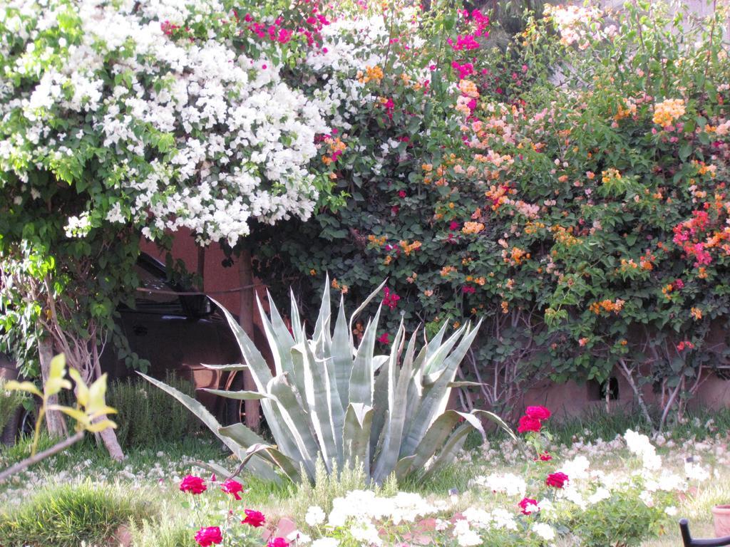 Le Jardin Des Epices Hotel Taroudant Eksteriør billede